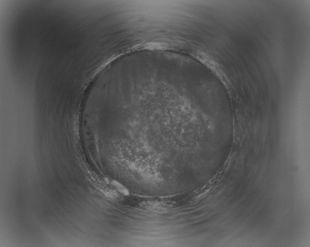 X0000076030297200610061425