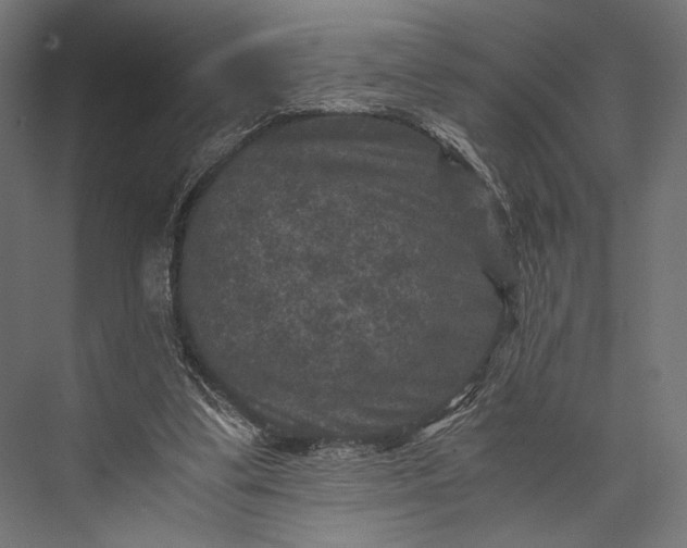 X0000076030299200610061425