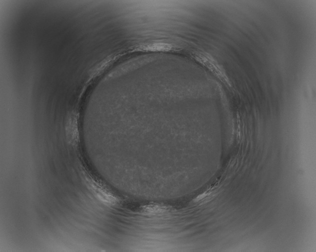 X0000076030300200610061425