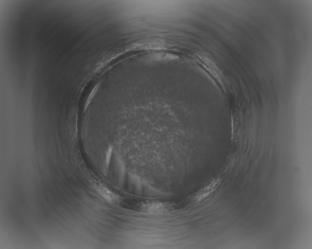 X0000076030301200610061425