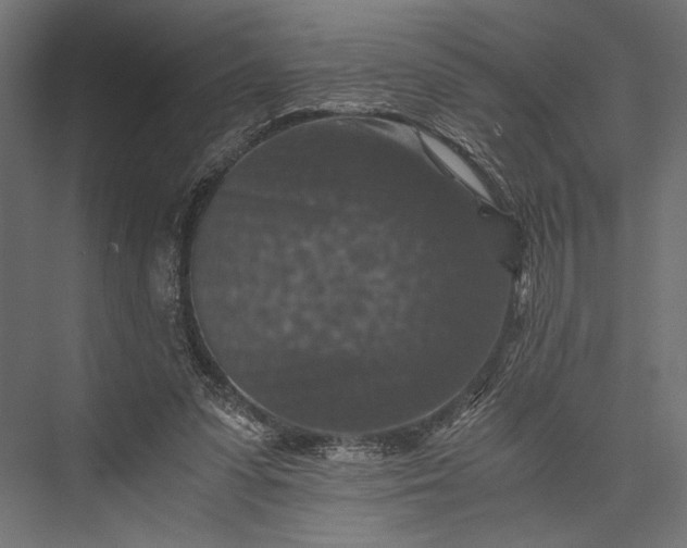 X0000076030303200610061425