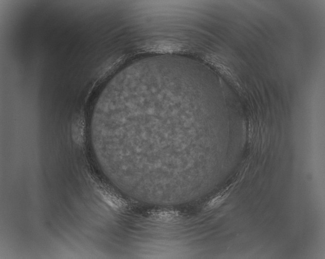 X0000076030304200610061425