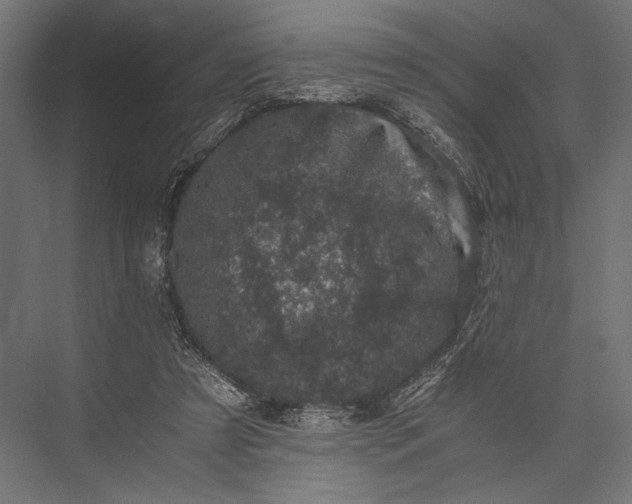 X0000076030305200610061425