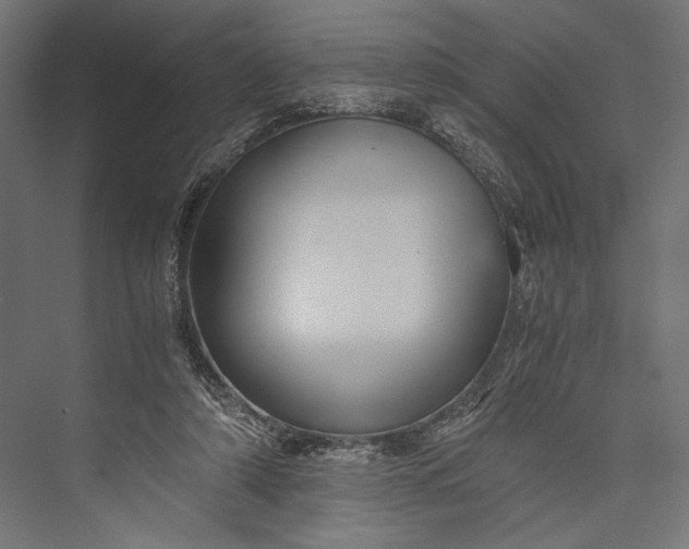 X0000076030306200610061425