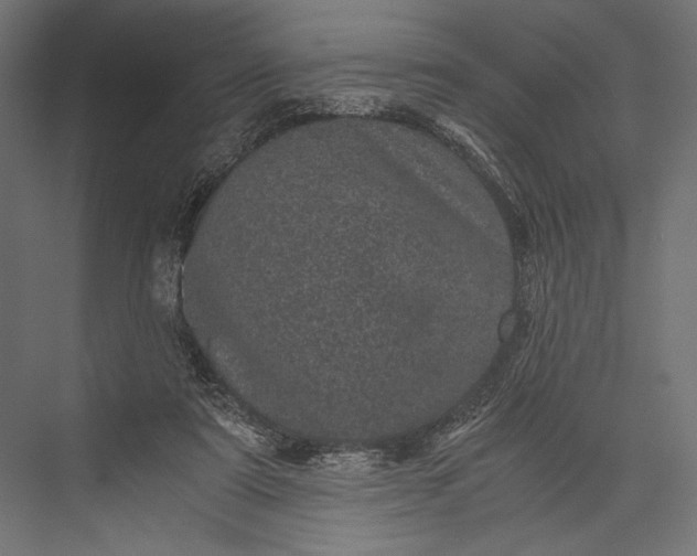 X0000076030307200610061425