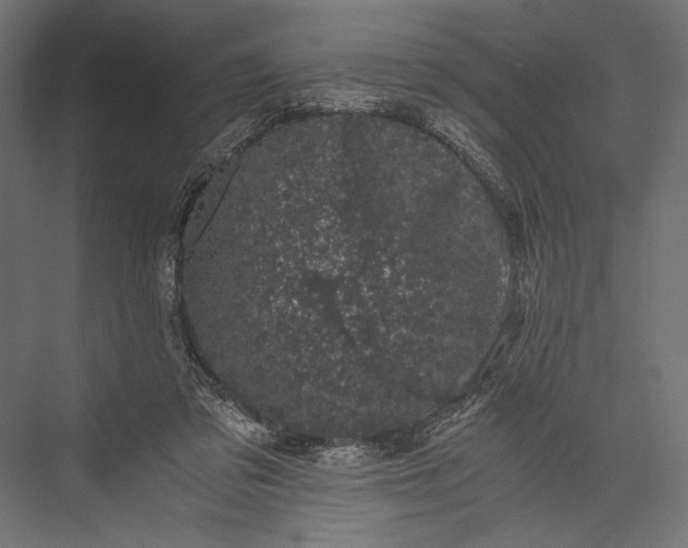 X0000076030309200610061425