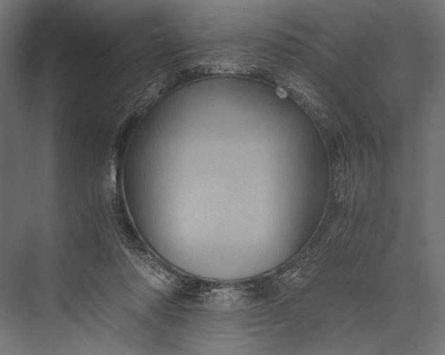 X0000076030310200610061425