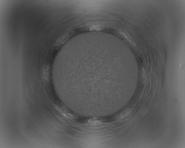 X0000076030311200610061425