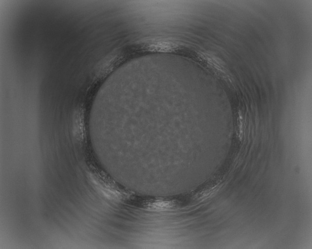 X0000076030312200610061425