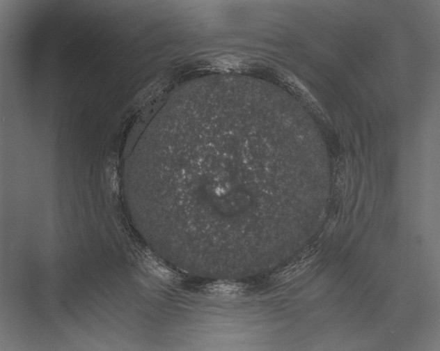 X0000076030313200610061425