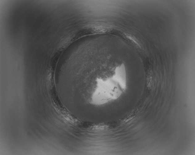 X0000076030314200610061425