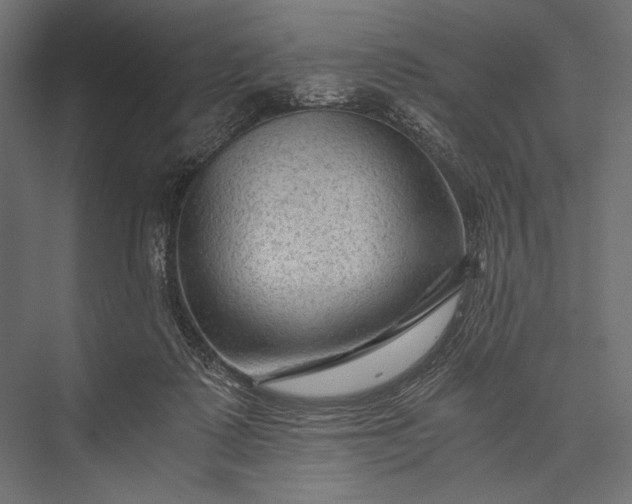 X0000076030315200610061425