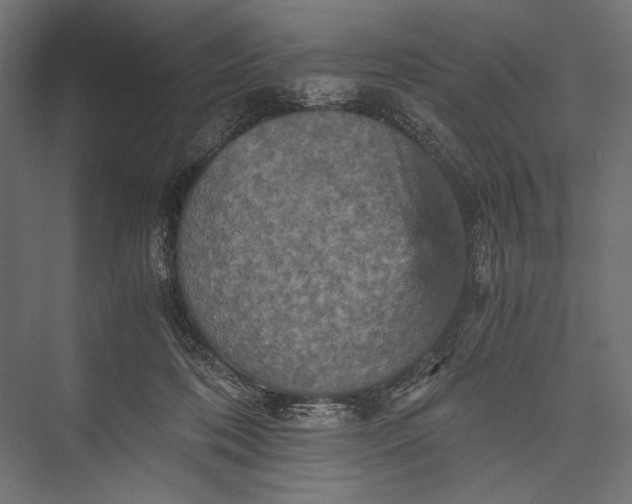 X0000076030316200610061425