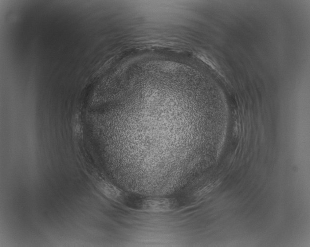 X0000076030317200610061425