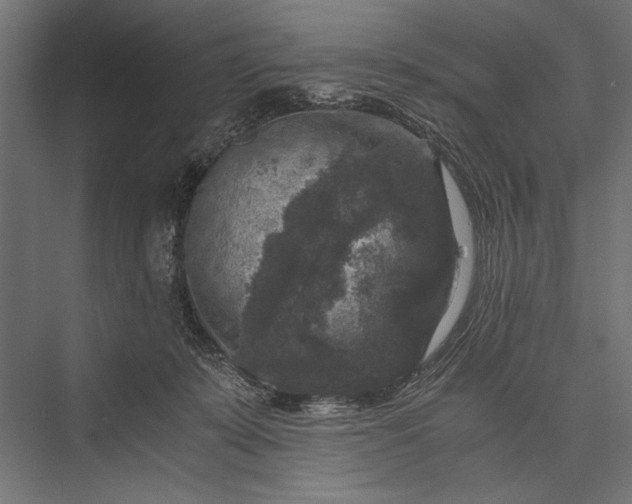 X0000076030319200610061425