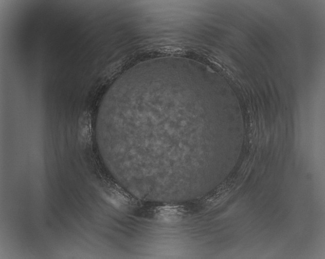 X0000076030320200610061425