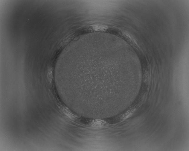 X0000076030321200610061425