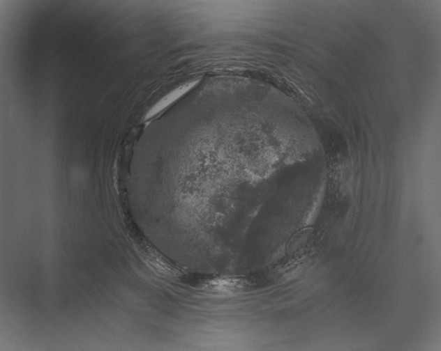 X0000076030323200610061425