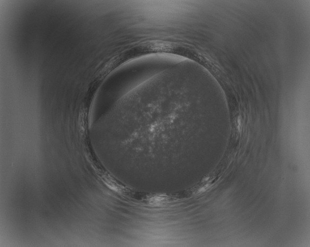 X0000076030325200610061425