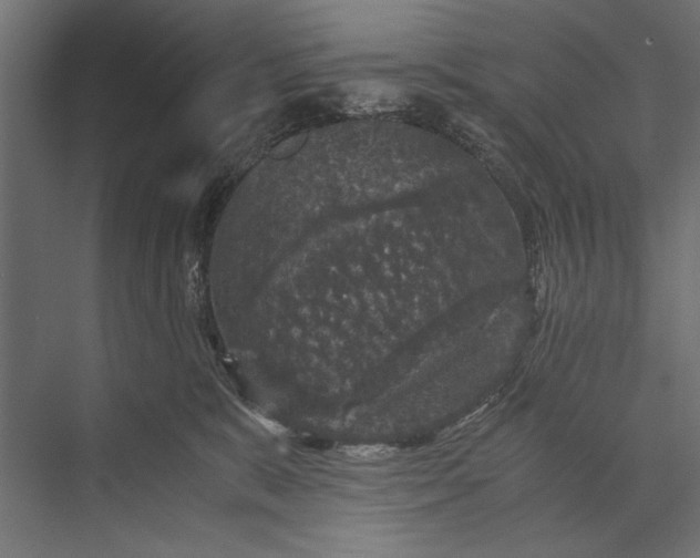 X0000076030327200610061424