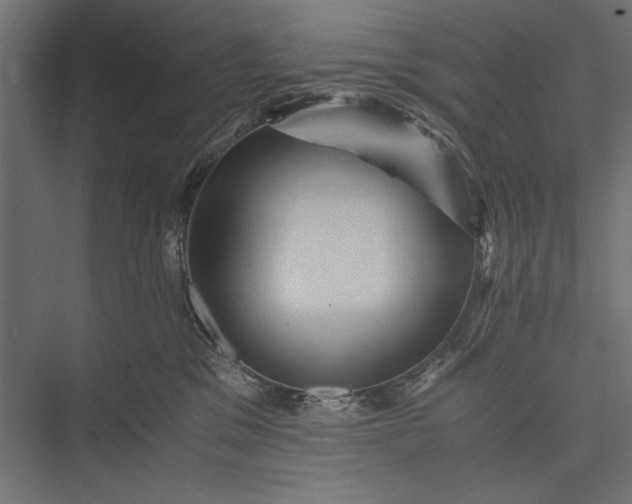 X0000076030329200610061424