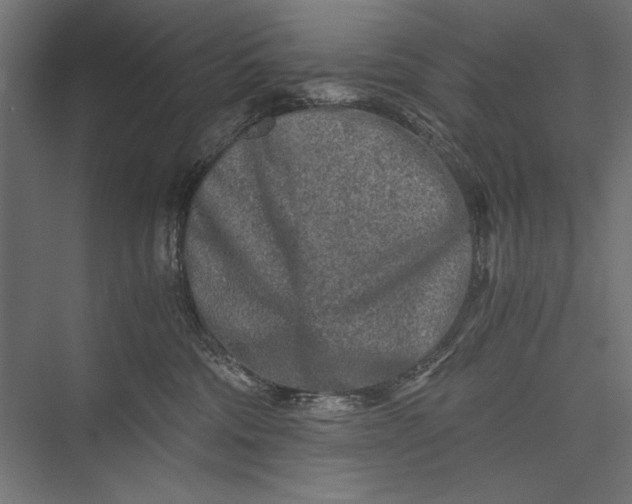 X0000076030330200610061424