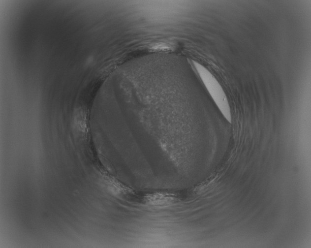 X0000076030331200610061424