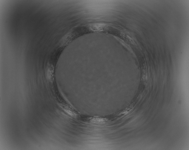 X0000076030332200610061424