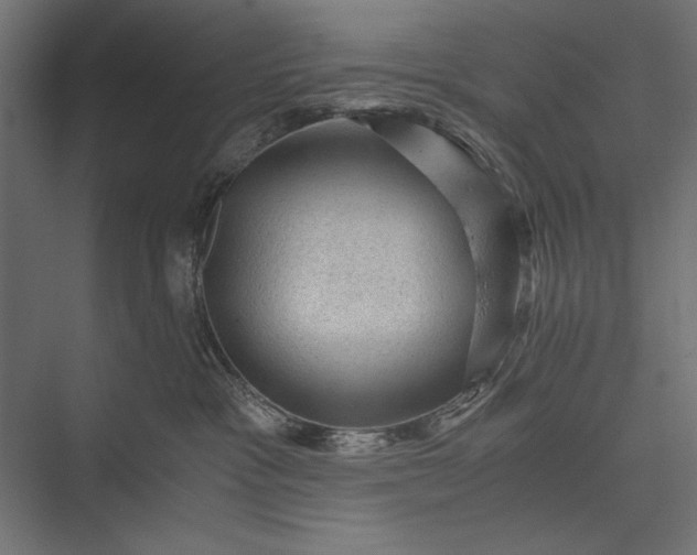 X0000076030333200610061424