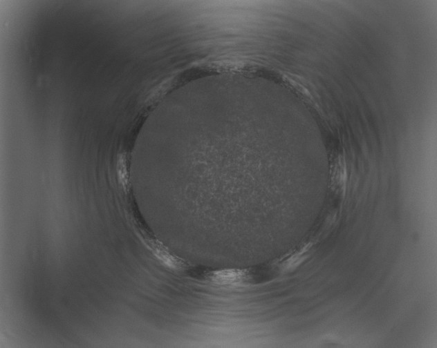 X0000076030335200610061424