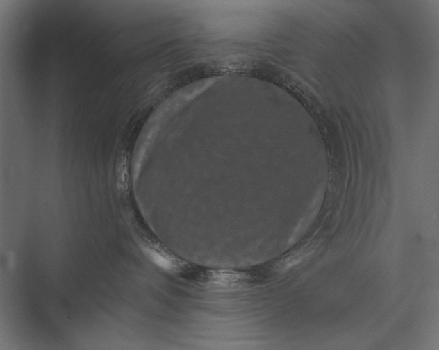 X0000076030336200610061424