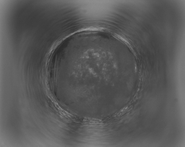 X0000076030337200610061424