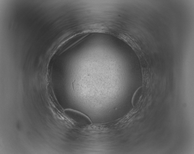 X0000076030338200610061424