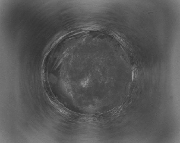 X0000076030339200610061424