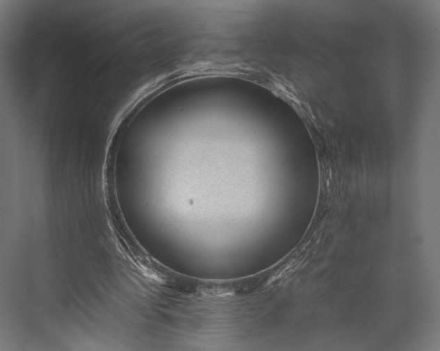 X0000076030340200610061424