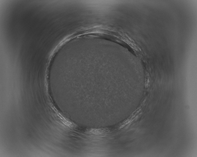 X0000076030341200610061424