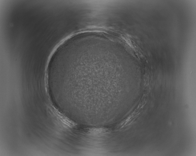 X0000076030342200610061424