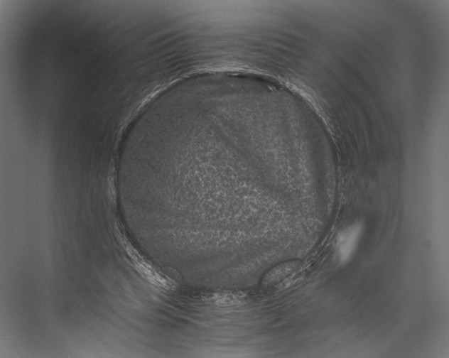 X0000076030345200610061424