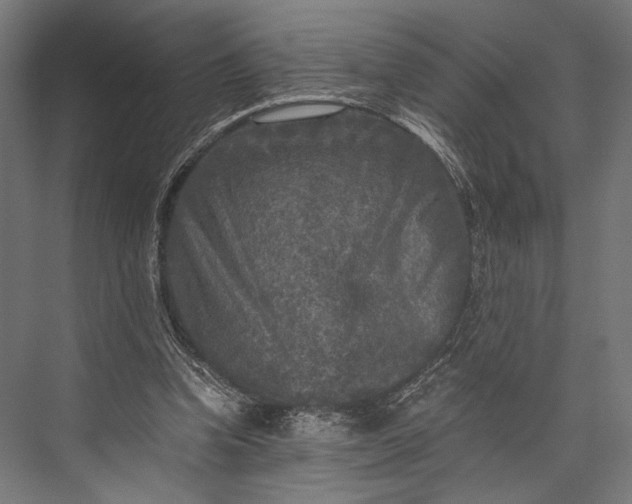 X0000076030346200610061424