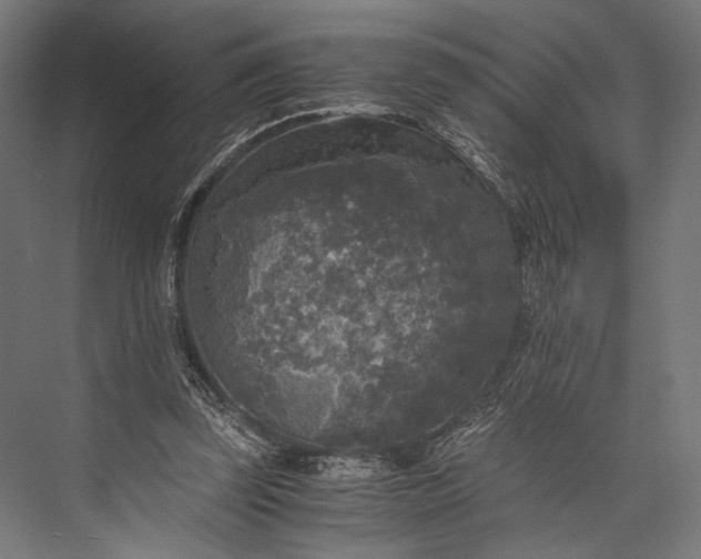 X0000076030347200610061424