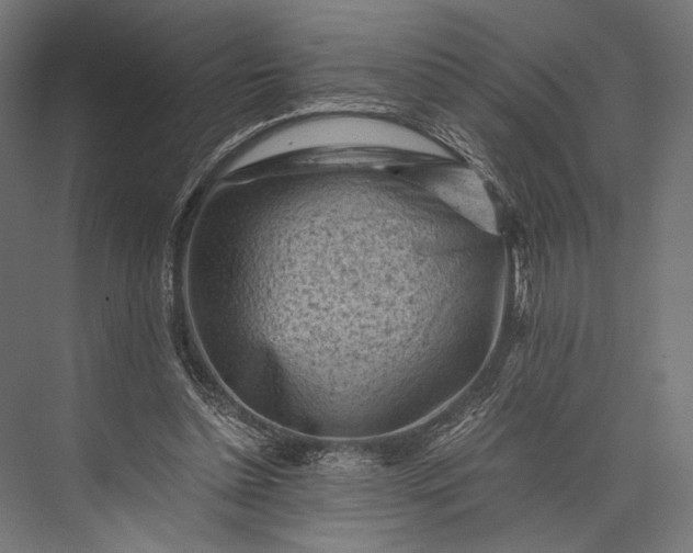 X0000076030348200610061424