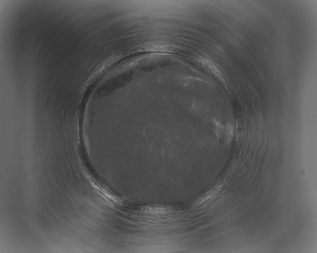 X0000076030349200610061424