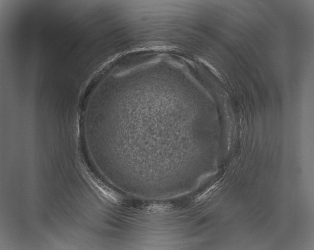 X0000076030350200610061424