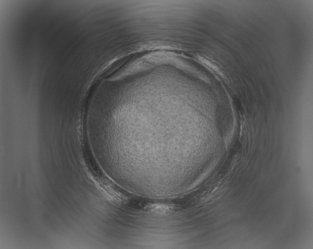 X0000076030352200610061424