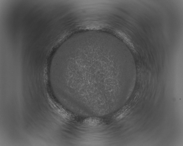 X0000076030354200610061424