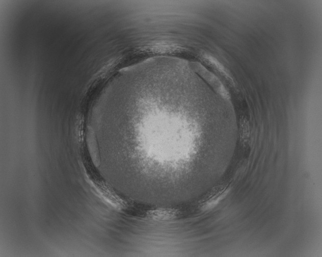 X0000076030356200610061424