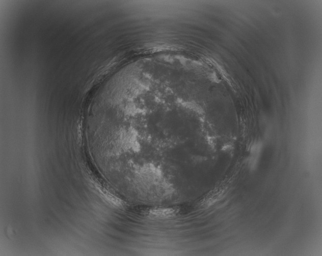 X0000076030357200610061424