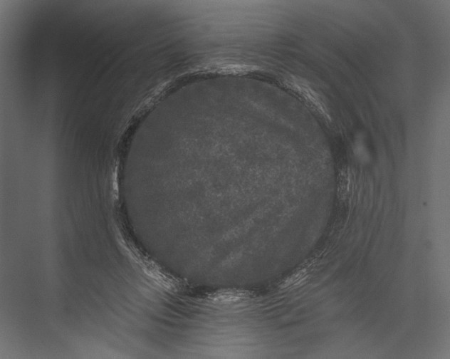 X0000076030358200610061424