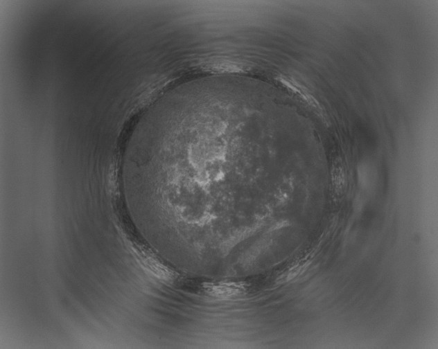 X0000076030359200610061424