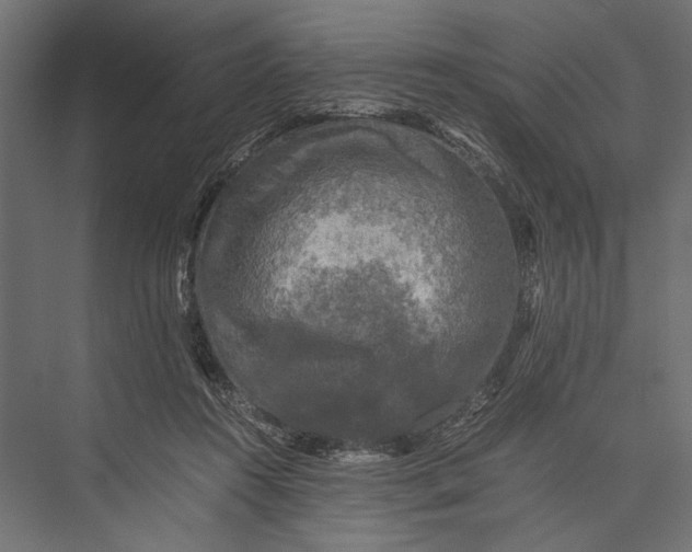 X0000076030360200610061424